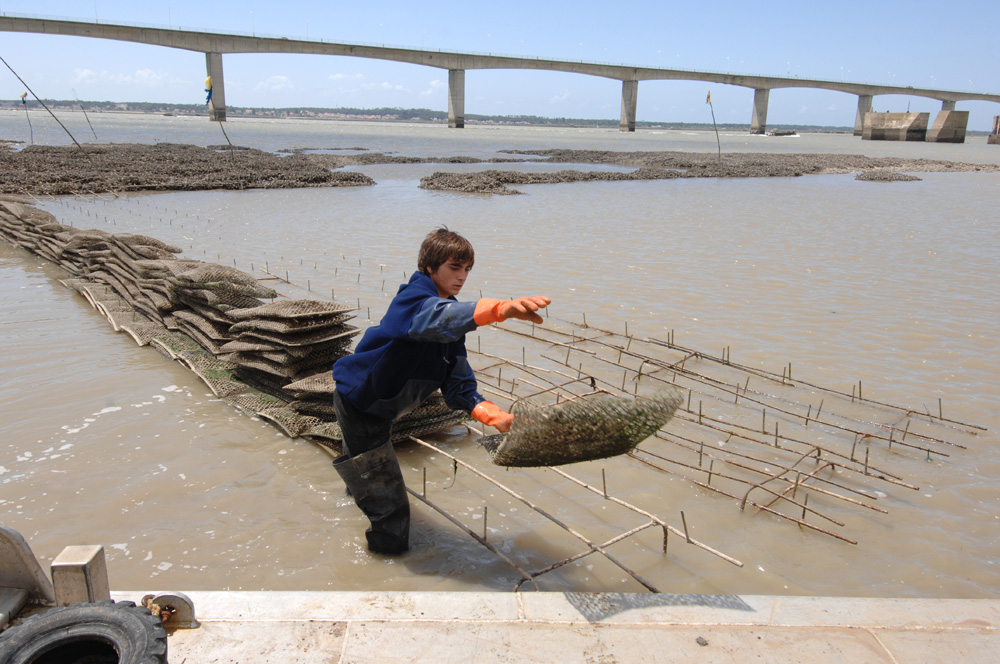 Featured image for “6 mars 2026 : comité GALPA”